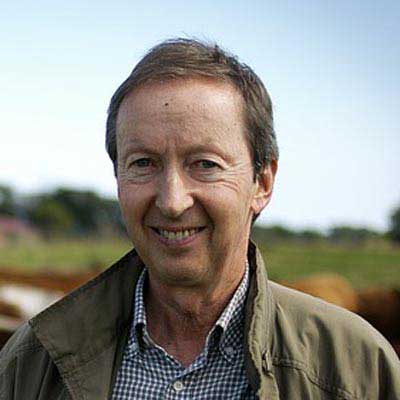 服务器攻击软件